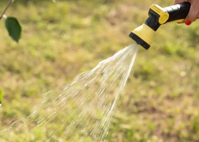 Sprinkler Winterization Services for Lasting Landscape Protection