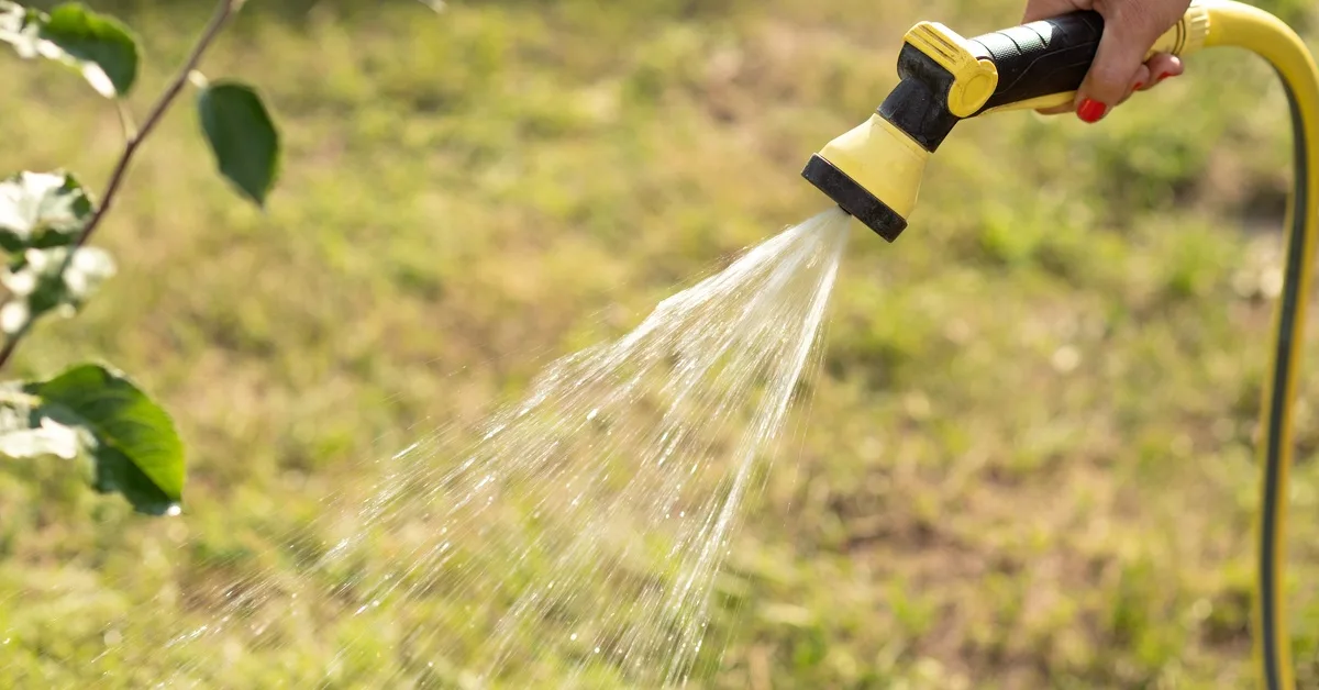 Sprinkler Winterization Services for Lasting Landscape Protection