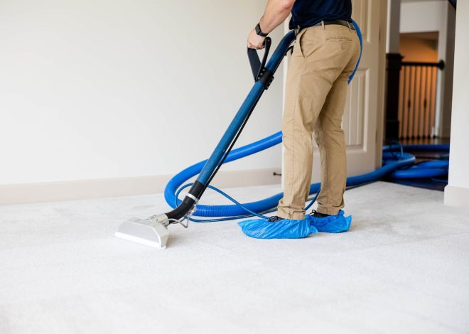 Maximizing Property Appeal Before Real Estate Listings: Professional Carpet Cleaning Service in Oakland County, MI