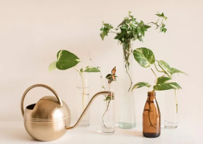 Propagation Station Ideas for Cuttings, Jars, and Small Plants